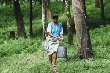 Có thể giảm xuất khẩu cao su để ổn định giá 
