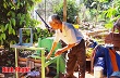 Ông Năm sáng chế máy quét lá cao su