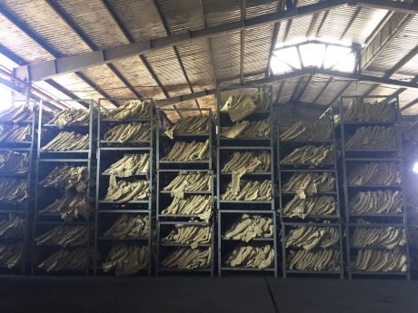  Xí nghiệp cơ khí chế biến 30/4, Cao su Bình Long: Cái nôi phong trào sáng kiến cải tiến kỹ thuật  