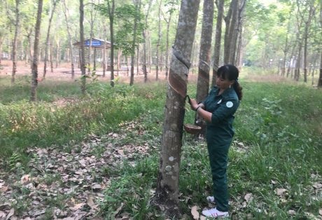 10 năm liền đạt kỹ thuật hạng ưu