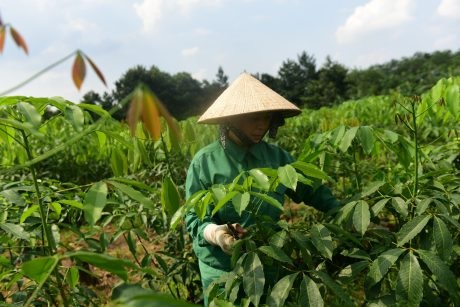 Quản lý kỹ thuật chuyên nghiệp hơn