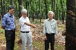 Quyết liệt nhiều giải pháp hoàn thành 245.000 tấn mủ