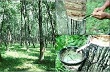 Giá cao su kỳ hạn tại Tokyo ngày 19/10 giảm phiên thứ 2 liên tiếp