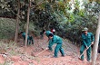 Vận động Nhân dân trồng cây cao su