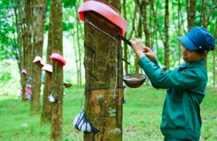 Cổ phiếu khuyến nghị hôm nay (24/5): VRE, MWG và GVR