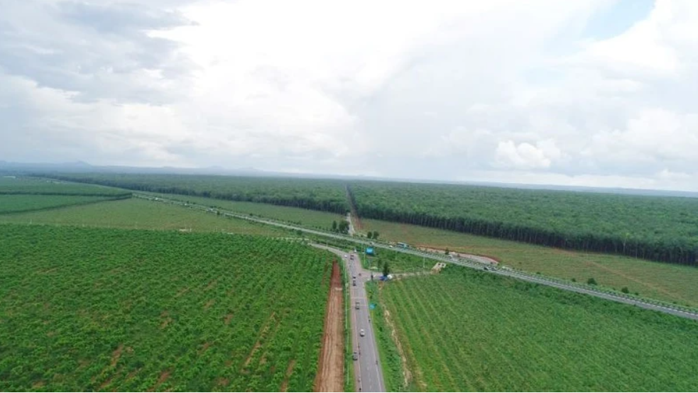 VRG nỗ lực mục tiêu tăng trưởng xanh, bền vững  