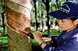 Tập đoàn kinh tế chỉ có 3 cấp doanh nghiệp