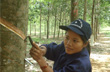 Thị trường hàng hóa thế giới tuần từ 16-21/7/2012