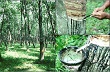 Ngày 25.7: Giá cao su Tocom giảm sau 6 phiên tăng liên tiếp