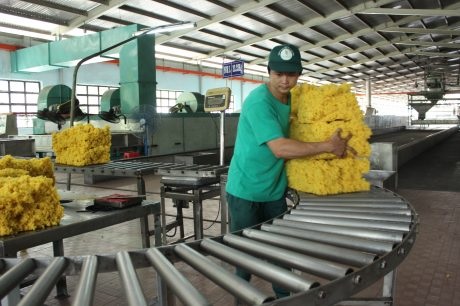 Tăng cường sản xuất sản phẩm mang thương hiệu VRG