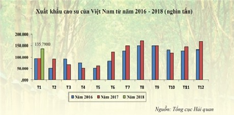 Tín hiệu tích cực của thị trường cao su đầu năm mới
