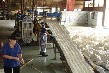 Nhiều sáng kiến hạ giá thành và nâng cao chất lượng sản phẩm