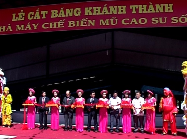 Kon Tum có thêm một Nhà máy chế biến mủ cao su
