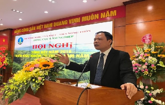 Xuất khẩu lâm sản năm 2018 đạt hơn 9,3 tỷ USD