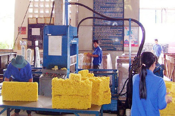 Trong khi nhiều thị trường giảm xuất khẩu, cao su Việt Nam vẫn tăng thị phần tại Ấn Độ