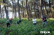 Ban Chỉ đạo Tây Nguyên làm việc với Kon Tum về bảo vệ rừng