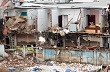 Siết chặt mọi hoạt động sản xuất và kinh doanh phân bón