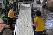 Ứng dụng tiến bộ khoa học kỹ thuật trong chế biến mủ cao su (kỳ 2)