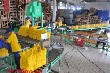 Vị thế quan trọng của Trung Quốc trong ngành cao su thế giới