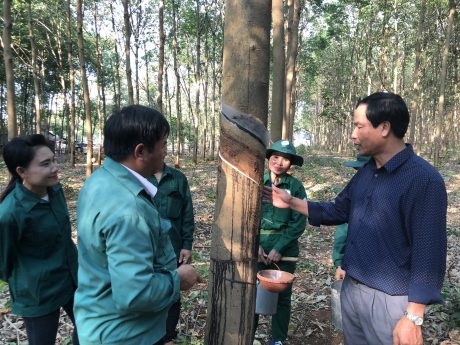 Năng suất cao nhờ siết chặt quản lý