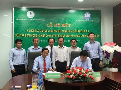 VRG ký quy chế hợp tác với Viện Khoa học Lâm nghiệp Nam Bộ