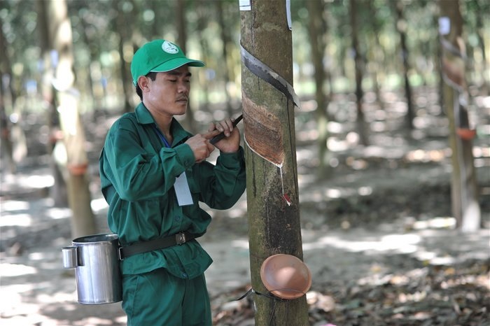 Năm 2020, VRG đặt mục tiêu lợi nhuận tăng 2,6 lần