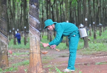 Cần chính sách phù hợp để tái cơ cấu đạt hiệu quả cao nhất