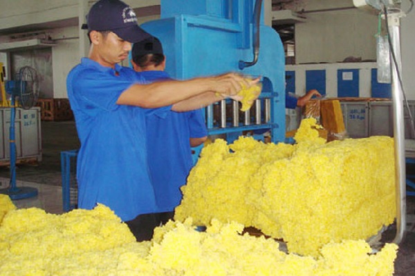 Giá tăng, cao su xuất khẩu tháng 10 tăng gần 20% về giá trị