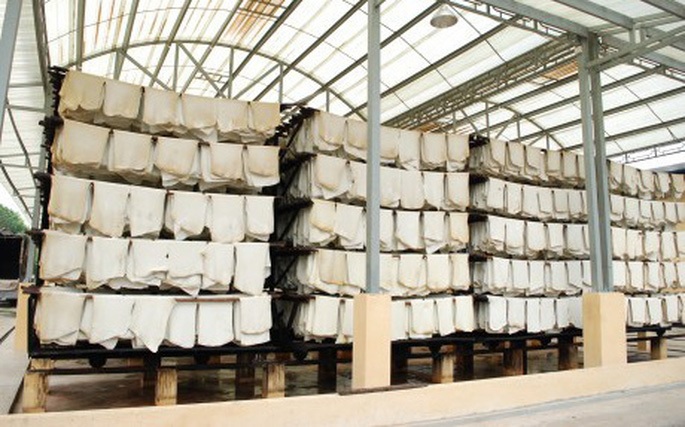 Xuất khẩu cao su tăng mạnh cả lượng và giá trị trong tháng 11Xuất khẩu cao su tăng mạnh cả lượng và giá trị trong tháng 11