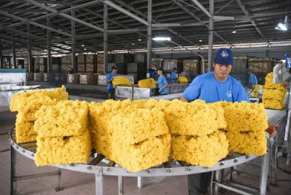 Xuất khẩu cao su tăng tháng thứ 3 liên tiếp 