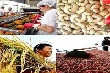 Xuất khẩu nông sản nhiều kỷ lục song vẫn hi vọng khởi sắc hơn trong năm tới 