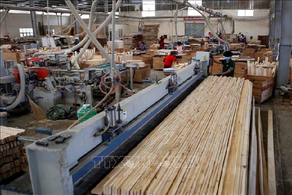 Thứ trưởng Hà Công Tuấn: Ngành gỗ phải đảm bảo minh bạch xuất xứ hàng hóa 