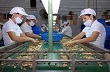Xuất khẩu nông lâm thủy sản đạt gần 15,6 tỷ USD 