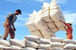 Đến 15/7: Kim ngạch xuất nhập khẩu đạt trên 115,5 tỷ USD