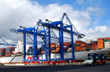 Xuất khẩu cao su Malaysia tháng 10 tăng 0,5%, sản lượng giảm 21% 